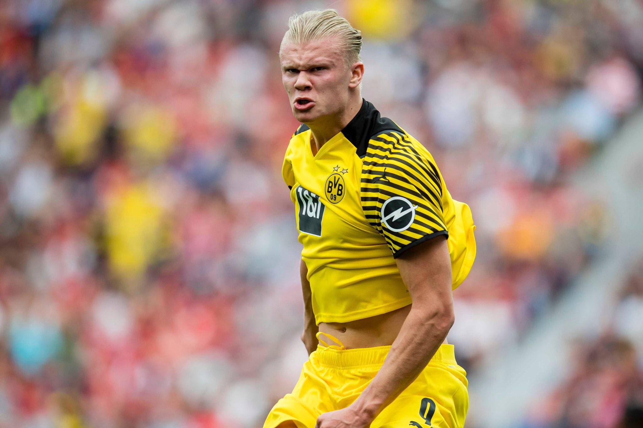 记者斯基拉 记者斯基拉