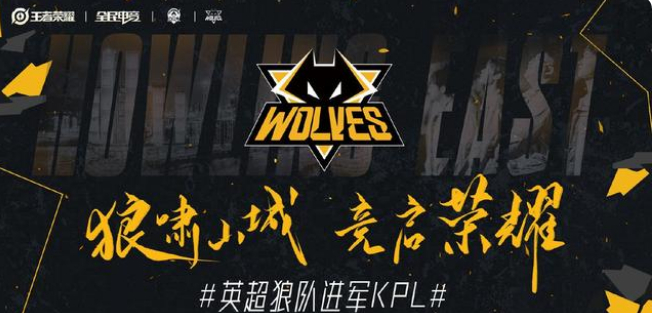 在不同教练